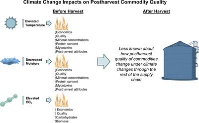 Pest Management in the Postharvest Agricultural Supply Chain Under Climate Change